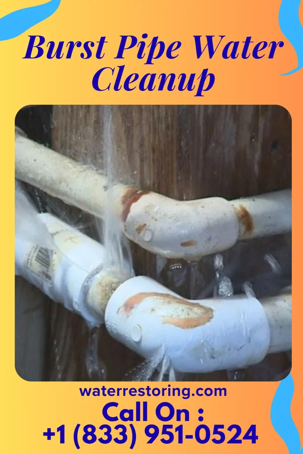 Burst Pipe Water Cleanup in Godley, IL