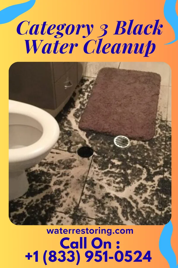 Category 3 Black Water Cleanup in Godley, IL