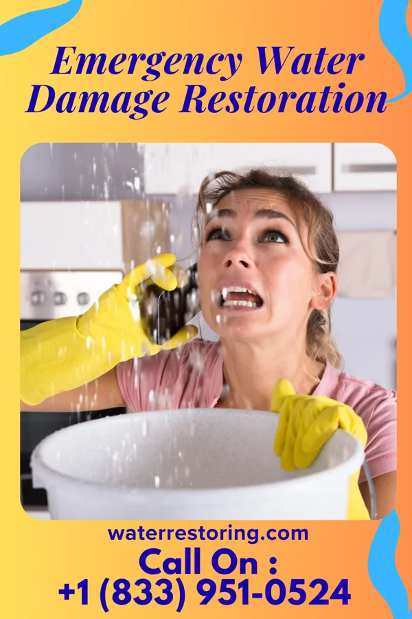 Emergency Water Damage Restoration in Godley, IL