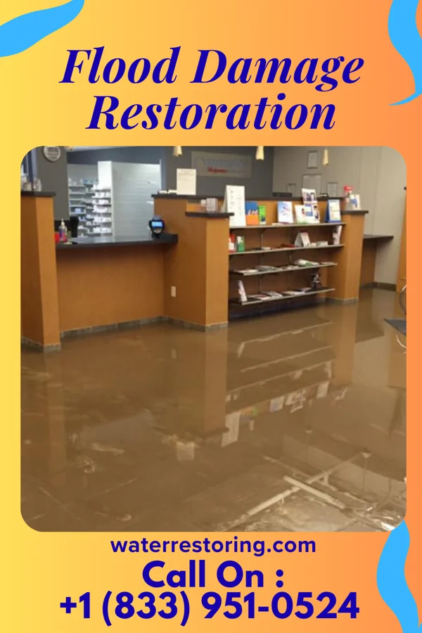 Flood Damage Restoration in Godley, IL
